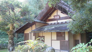 雅なところがまったくない、お茶！の空間です。