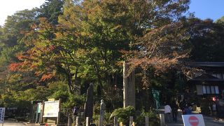 グラデーションの紅葉を