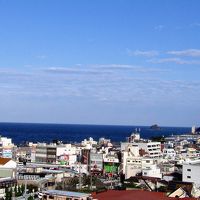 海側和室からの眺め