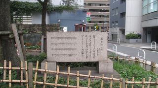 ここは新橋ではなく銀座なのですか？