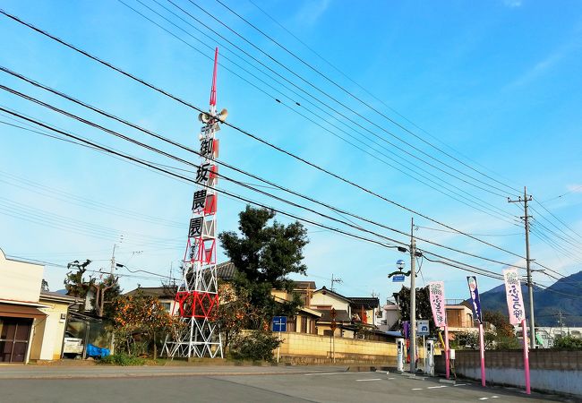 バス旅行でぶどう狩り　御坂農園へ