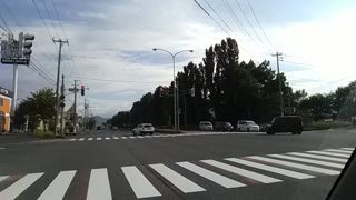 （再訪）強風の時は落ち葉がひどい