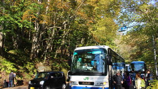 奥入瀬渓流ハイキングのスタート地点