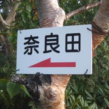 奈良田道は道標も整備されていて、安心して歩けます