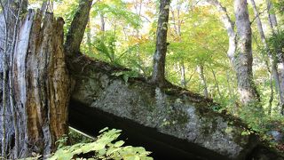 石ケ戸休憩所からすぐ　四角の大きな石