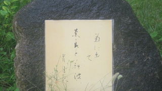 最期を悟ったかのような悲しげな作風の句が心に残りました