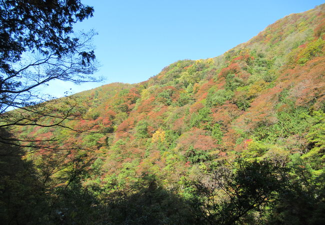 抱返り渓谷の紅葉　2018/10/26(金）