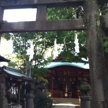 鳥居付近