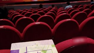 宝塚より小ぢんまりしていて見やすかったです