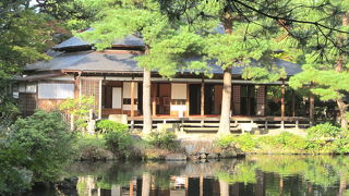 紅葉の時期に来たかった。