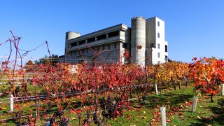 無料のガイドツアーはおすすめ☆Total1時間あれば見て回れます