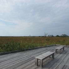 サロベツ湿原散策の木道では休憩ベンチもあります