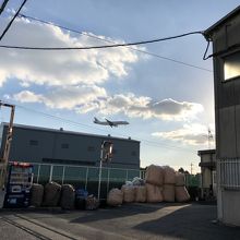 バス停を降りてから滑走路南端へ。時々飛行機の着陸が見えます。