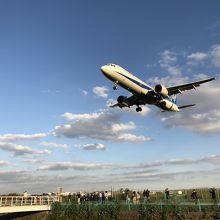 飛行機を間近に見ることが出来ます。