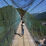 奈良洞川温泉にある吊り橋