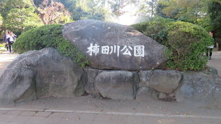 湧水が綺麗でした。