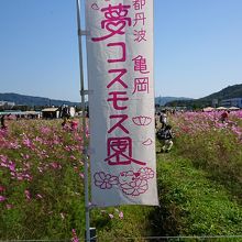 途中に幟が立っています