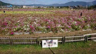 車から良く見えます！