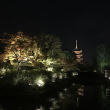 東寺の紅葉