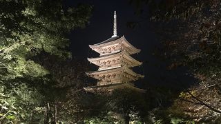 夜間開館時に訪問