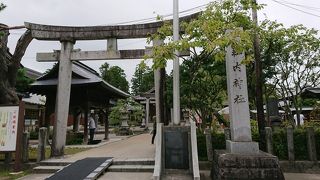 公園内