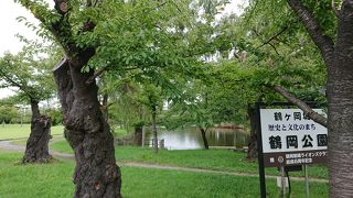 桜の名所だそうです