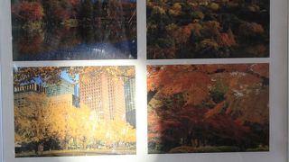 東京の秋写真展