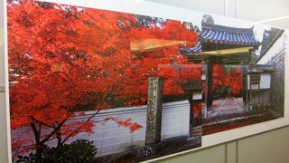 ＪＲ東海の「そうだ京都、行こう。」25周年のポスター展