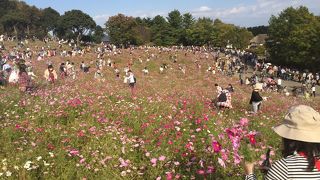 広大な敷地を有する公園