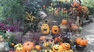 園内は平たんで歩きやすい