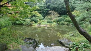 テレビ番組にも出た公園