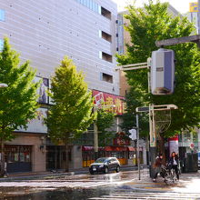 街路樹は紅葉を待っています