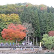 田沢湖の紅葉 2018/10/24