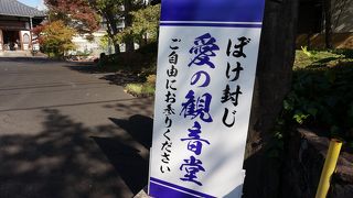 恋愛スポットと思いきや・・ボケ防止？