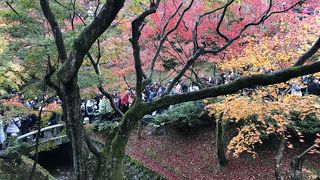 紅葉で大人気のお寺