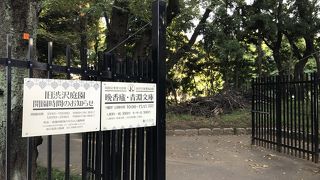 ちょっと寂しい感じ