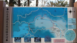 展望台？見通しのない樹林帯の道でした