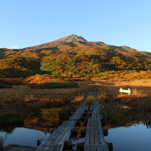 竜ケ原湿原