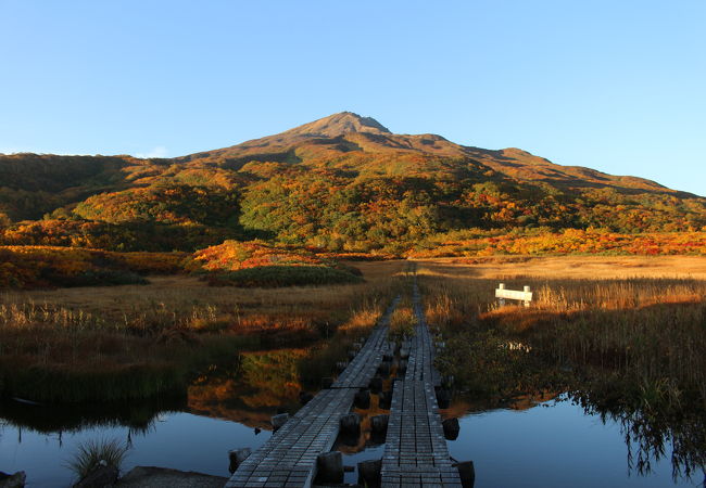 竜ケ原湿原