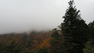 景色が良いです