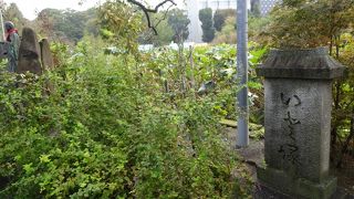 多くの碑の中の一つ。