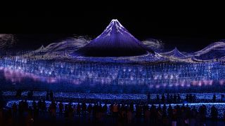 きれいですけど、入場料が高いと思います