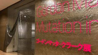 ユニークな展示