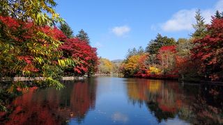 素晴らしい紅葉を見ることができました♪