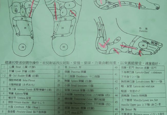 診断結果とアドバイスが貰えました