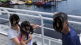 見ていて癒されます。