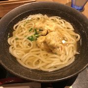 パッとしないうどん