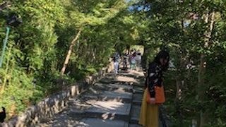 お庭がすばらしい