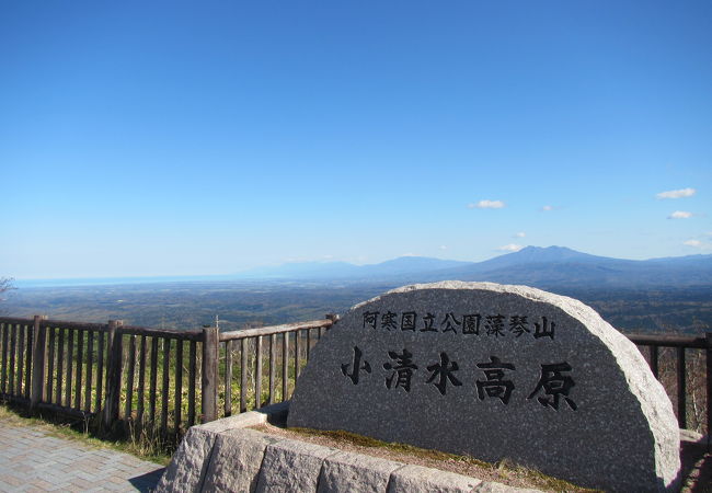 標高725ｍから眺める知床連山北麓に広がる広大な樹海