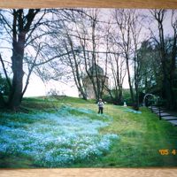 2005.04.メルヘン街道・ザバブルク城の忘れな草